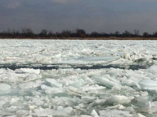 ArtFoodHome.com | barbara stroud