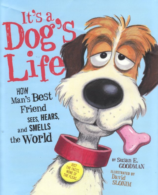 DavidSlonim Its A Dogs Life ds