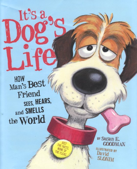 DavidSlonim Its A Dogs Life ds