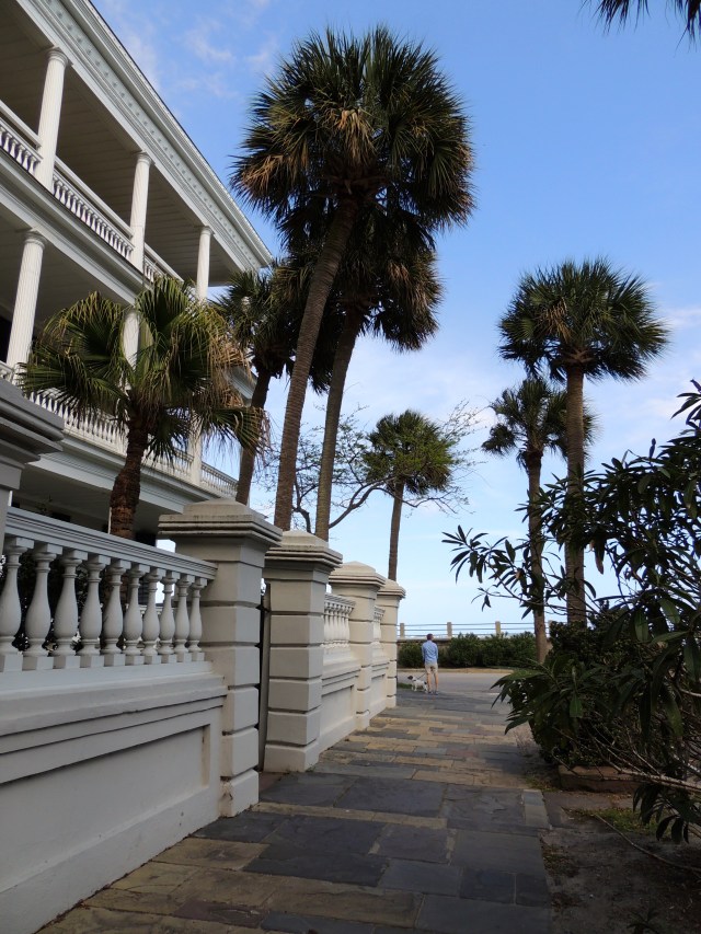 ArtFoodHome.com | barbara stroud