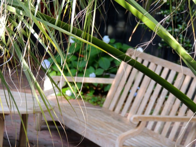 Backyard - Charleston, SC