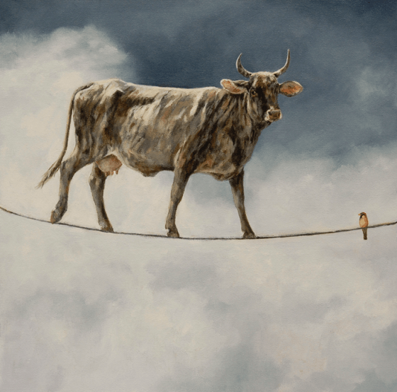 Balancing Act by Sandra Stevens 20x20 Oil