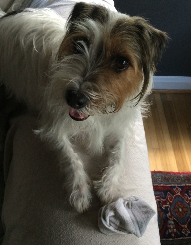 Charlie | ArtFoodHome.com