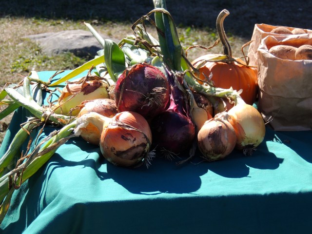 Monhegan Farmers Market | ArtFoodHome.com