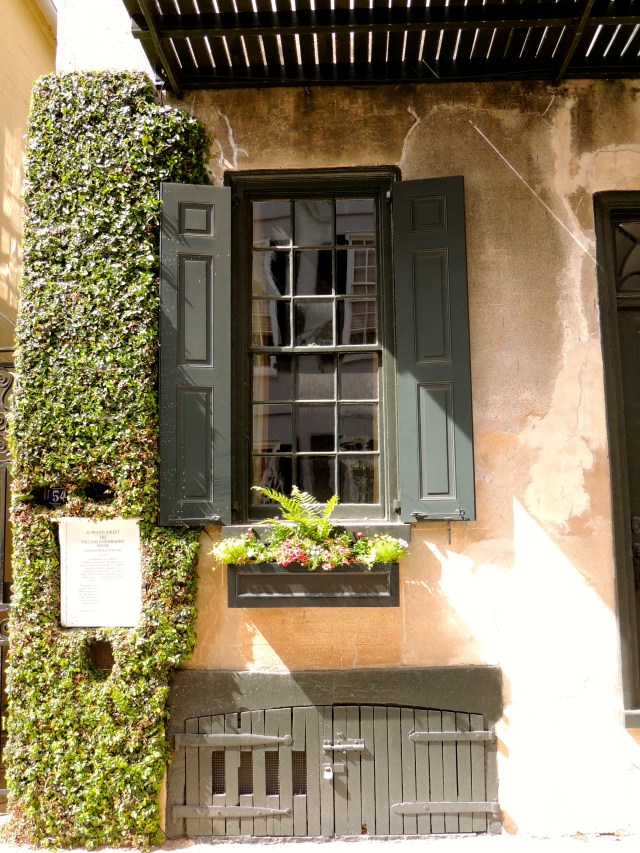 A Window in Charleston...