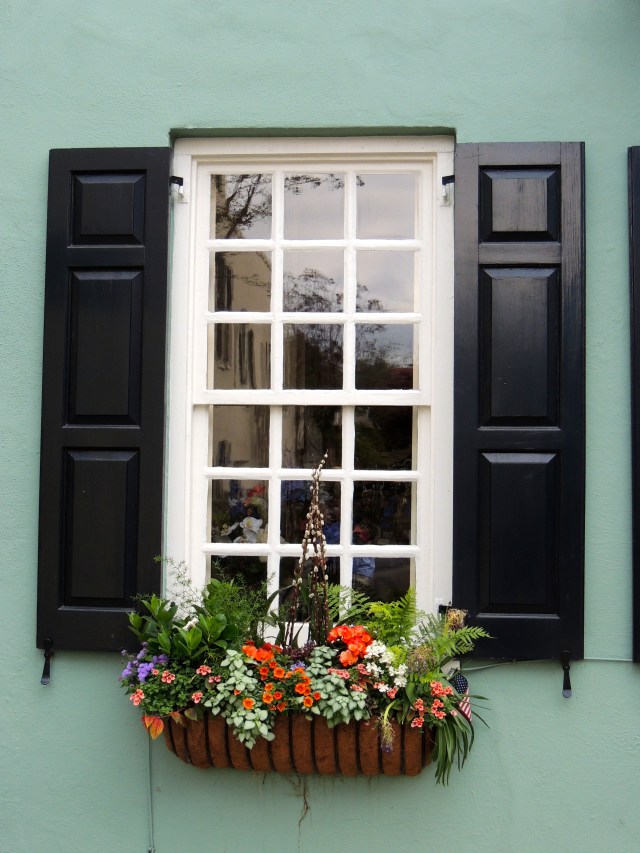 A Window in Charleston