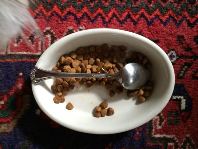 A spoon in the dog dish slows eating