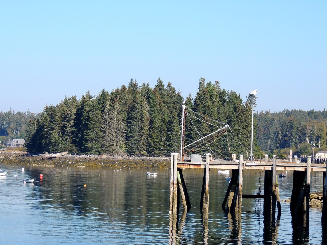 Som Raspberry Island Raspberry Island! – ARTFOODHOME.COM