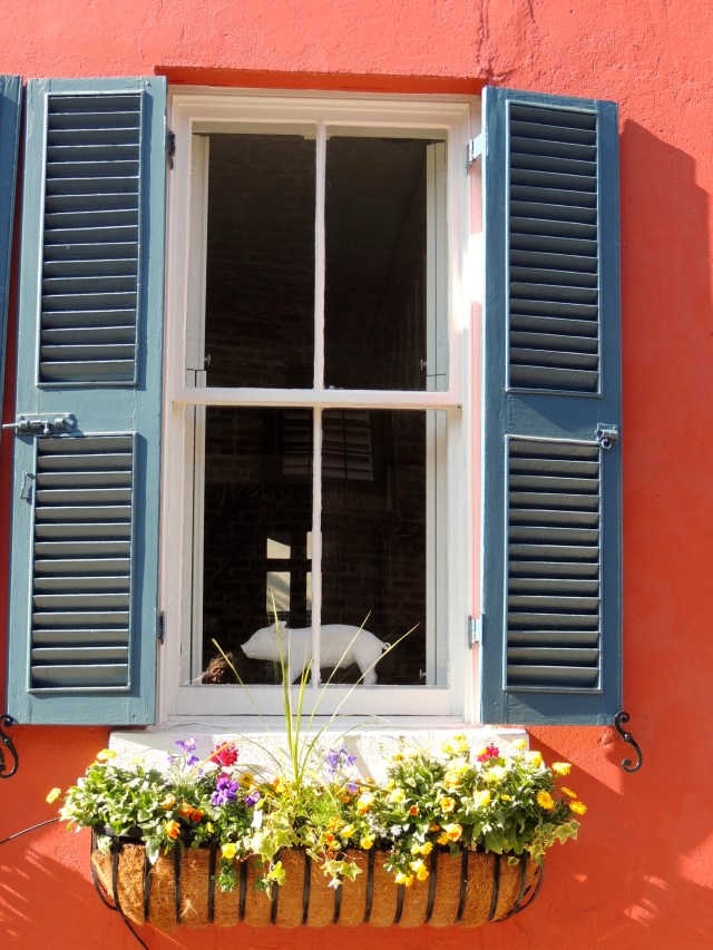 Charleston Window!