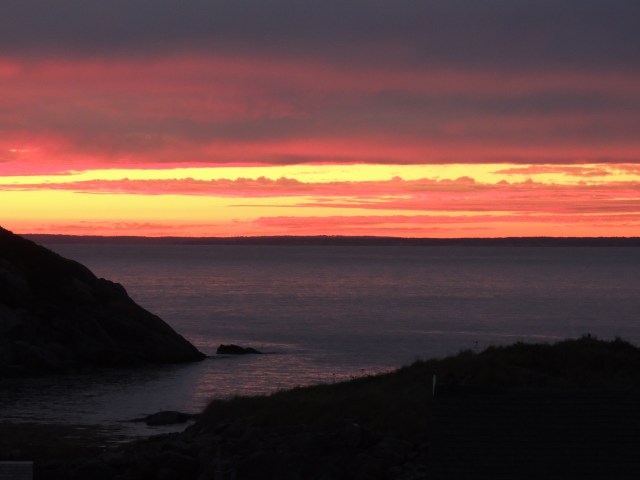 Barbara Stroud | ArtFoodHome.com