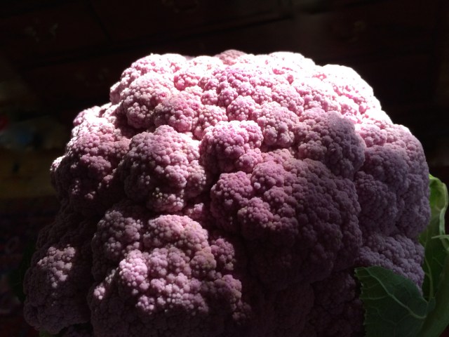 Purple Cauliflower | Art Food Home