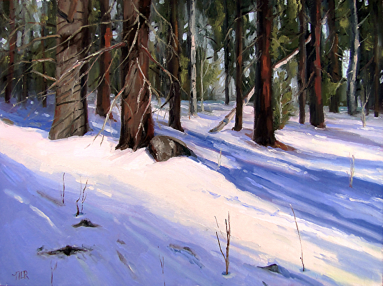 Winter Shadows by Nancy Romanovsky