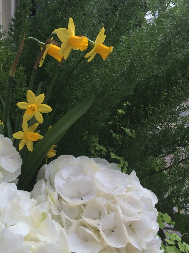 Close up of window box.