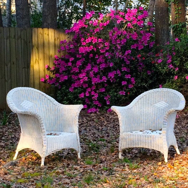 Pretty as a picture!