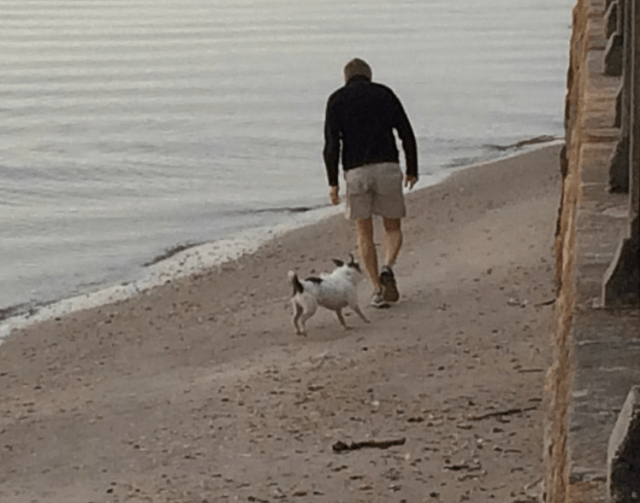 Screen Shot 2016-02-21 at 5.24.13 PM