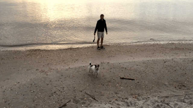 Day at the beach | ArtFoodHome.com