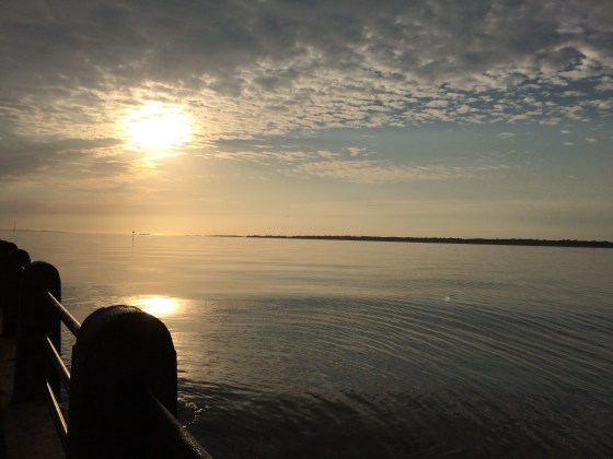 Charleston Morning Walk