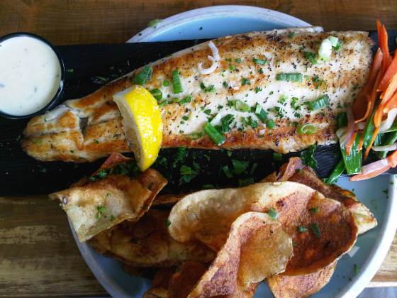 Marine City Fish Company