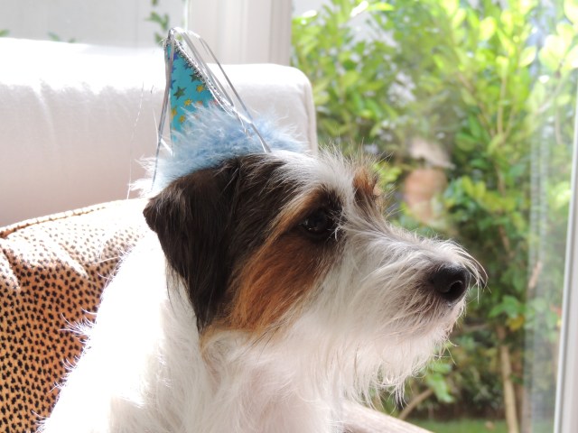 HaPpY BiRtHdAy cHaRLiE!