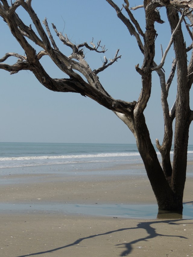 Botany Bay - Edisto, SC