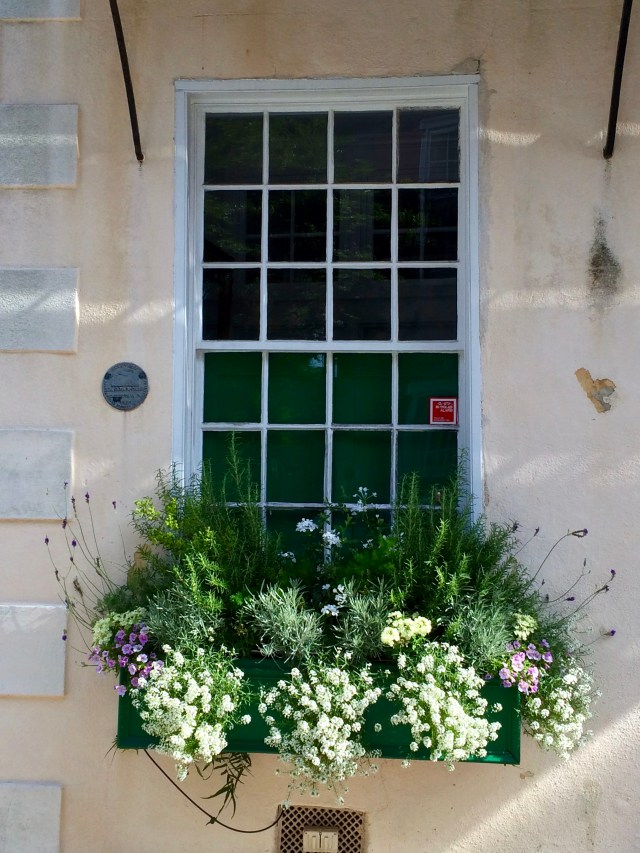 Charleston, SC Windowbox