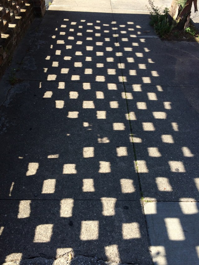 Checkerboard Shadow