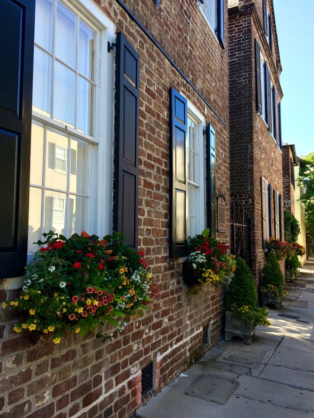 Charleston Window Boxes