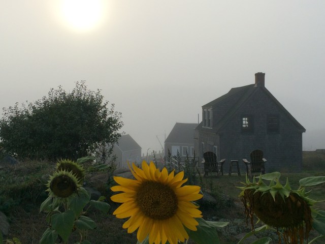 Monhegan Fog | barbara stroud