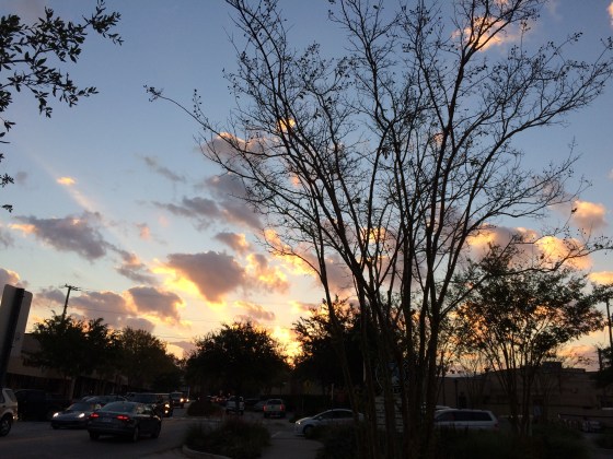 Morning Walk - Wow...