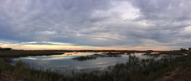 Vista near Bowens Island - Charleston, SC