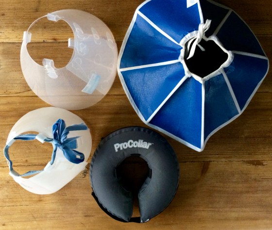 Cones, cones and more cones!