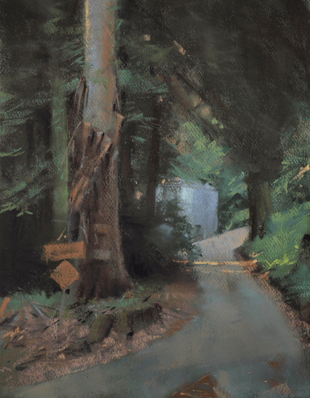 canyon-driveway-by-bill-cone