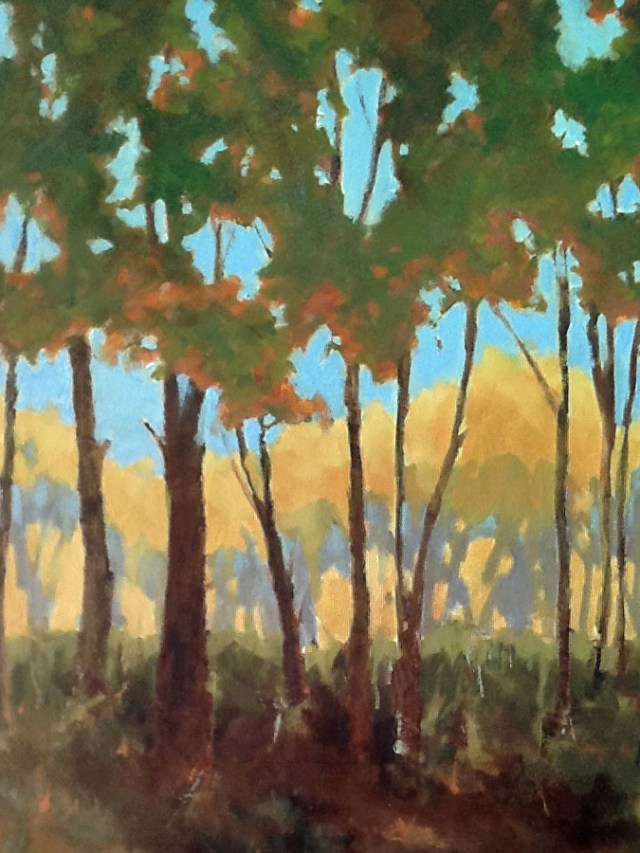 pinch-of-sunshine-by-donna-bland-36x24-oil