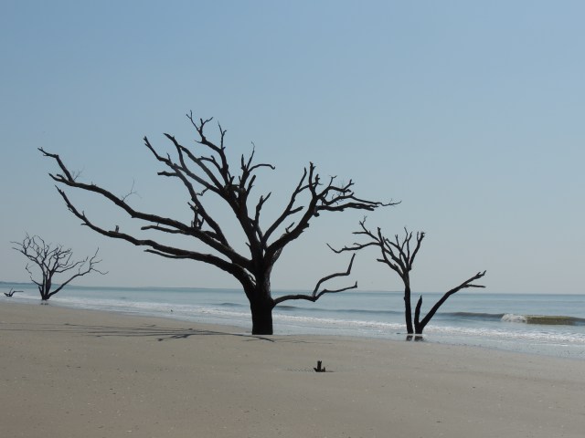 Botany Bay Beach, South Carolina