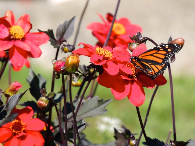 Focus on the little things...