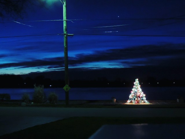 christmas tree on a dark night, christmas tree on the river, lit up christmas tree, dark beautiful sky, holiday