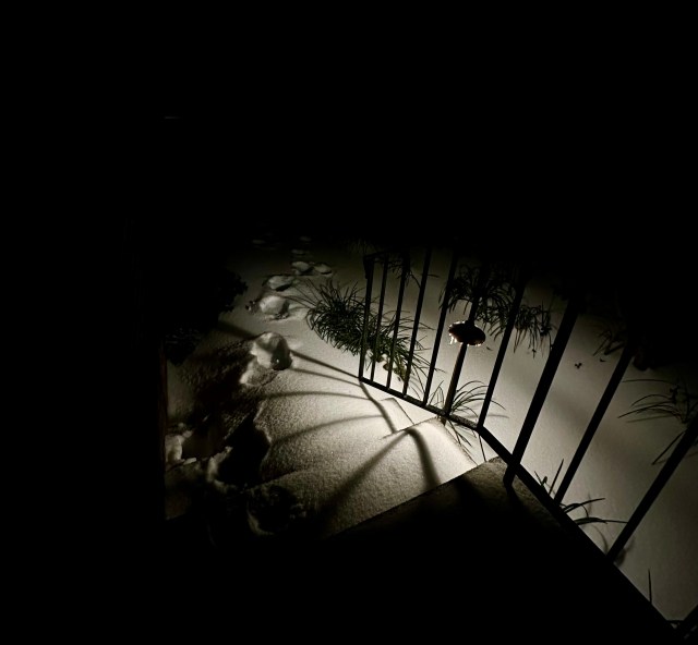 Step and walkway covered in snow, early morning darkness, wrought iron railing, mushroom light with icicles