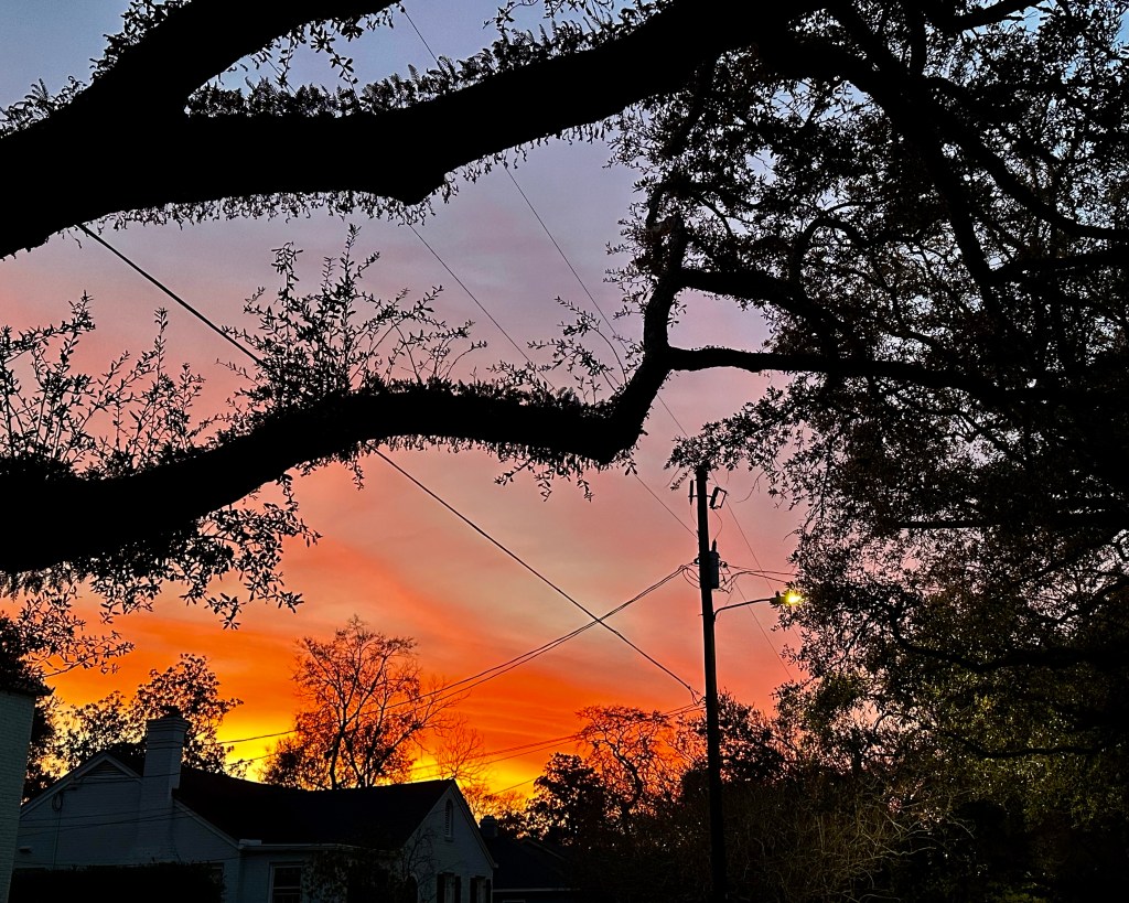 Sunset in neighborhood with older trees and power lines. Orange sky with fiery bright yellow nearer to the horizon. Striking
