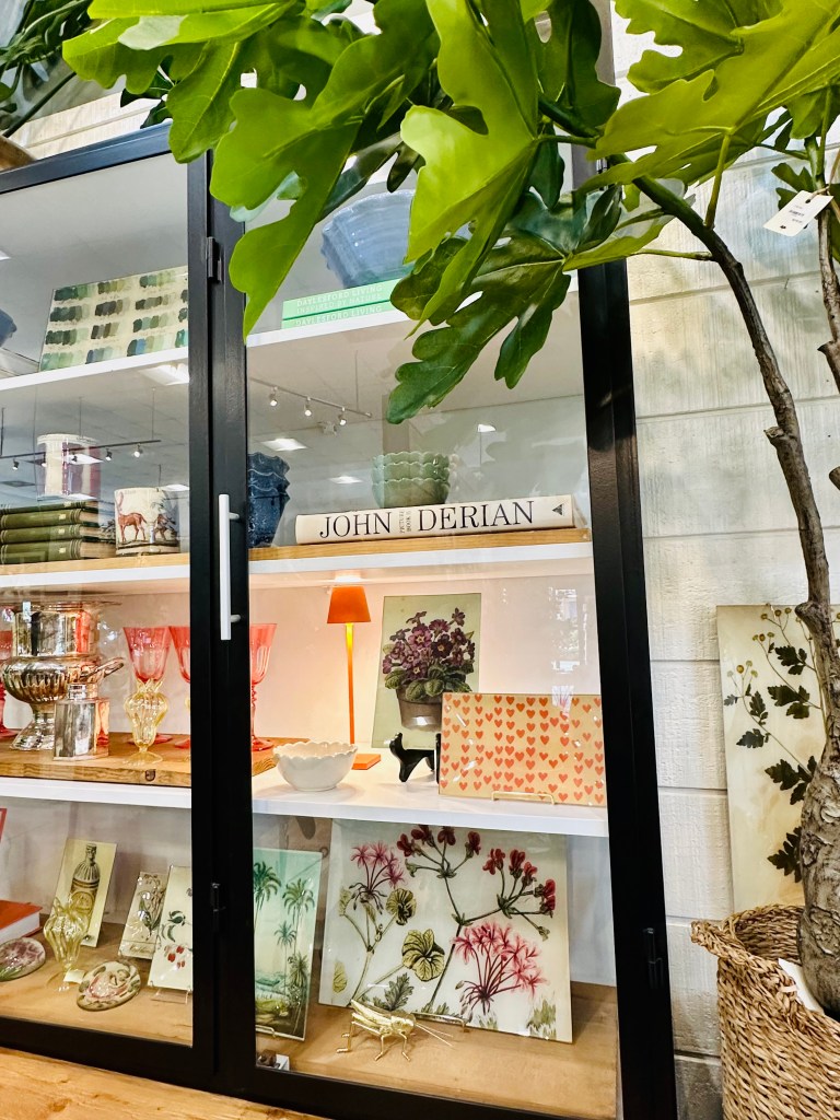 Showcase in store, John Deran book, glass trays, potted plant, orange light, pretty decor