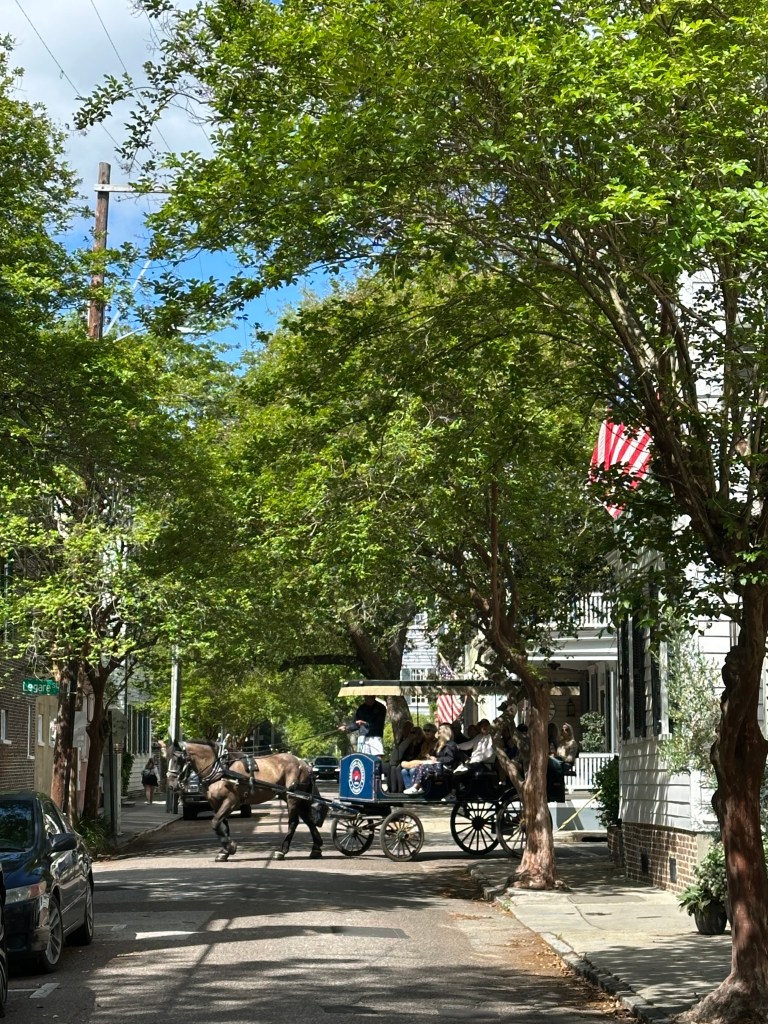 charleston, sc, legate street, tradd street, horse and carriage, tourist, guide to give you the scoop.