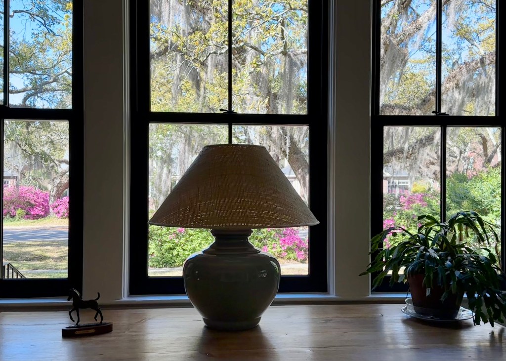 antique pine table set against windows, outside are live oak trees and blooming azaleas, lamp and plant on table