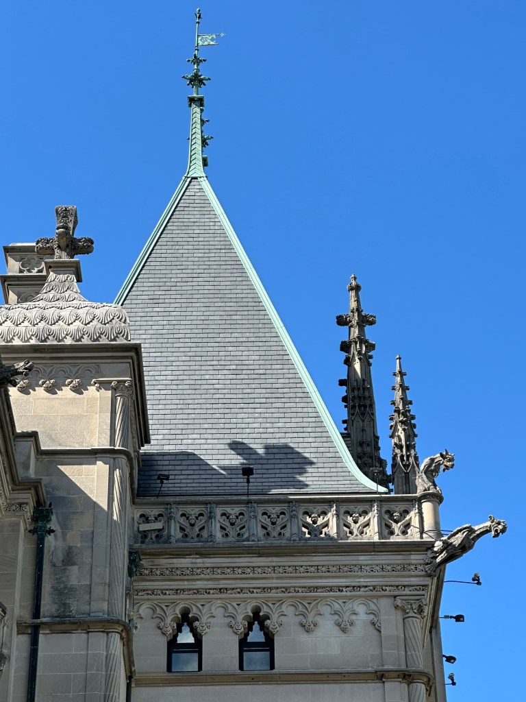Image of small section of Biltmore House, Gargoyle, Grotesque, carving