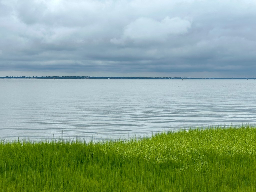 Photo of bright green marsh grass, blue water and a hint of the coast in the distance