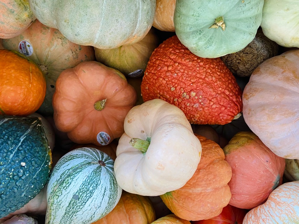 Seasonal gourds in a basket, colorful, tans and oranges, yellow, greens and blues.