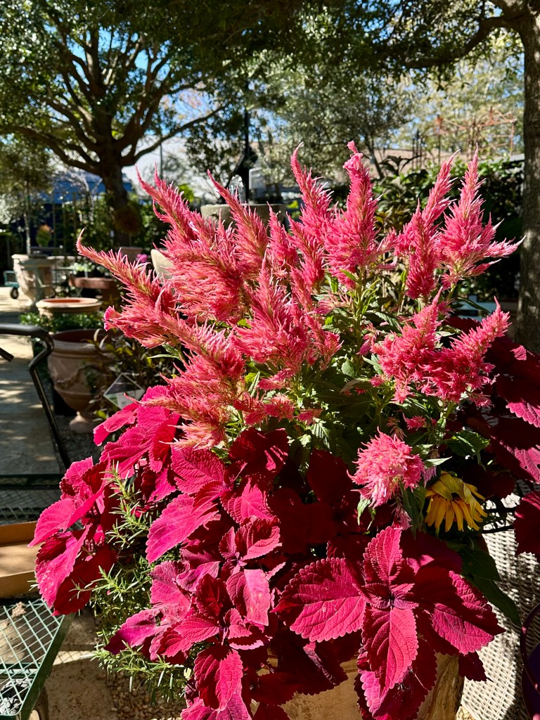 Beautiful flower planter!