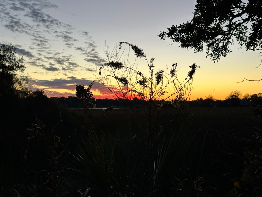 View from nearby. Charleston, SC.